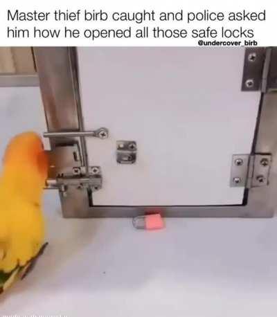 In and out in 20seconds, a true professional