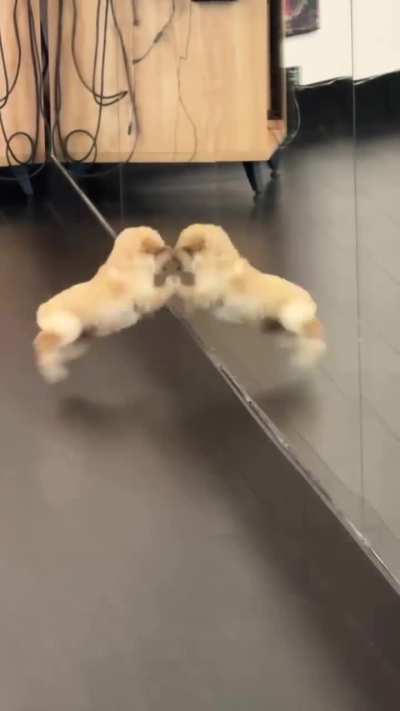 Soo cute 🥰🥰 reaction