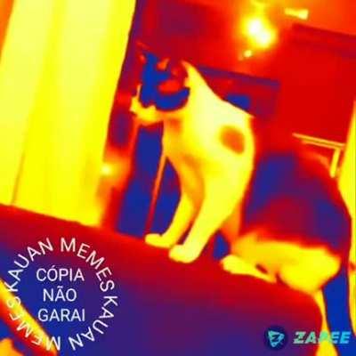 Ainda bem q o renan nao viu a marca dagua