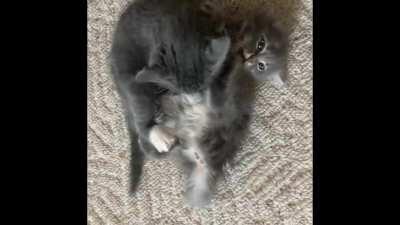 Mayhem & Darkthrone at it again 😉