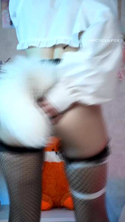 Wagging my tail like a pro, and then I notice you😼