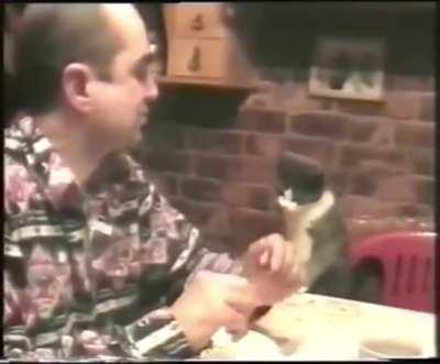 Cat communicates with deaf owner