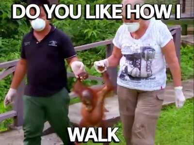 Variations on a banana