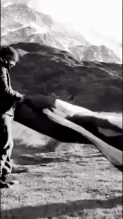 Authorities close the Appalachian trail after remains pile up on path