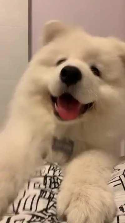 How he wakes us up in the mornings 😊