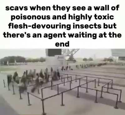 Hivemind = Press F To Win