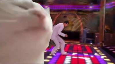 Friday night - Cat vibing