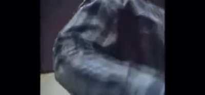 Footage of me training for battle AKA Hedgies R Fuk’d