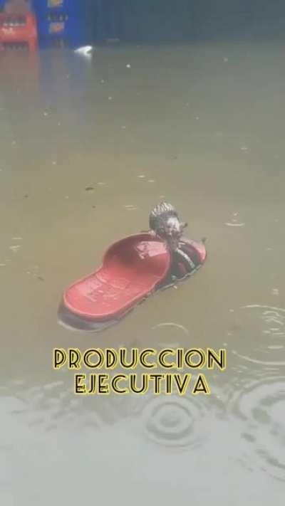 La Matanza Avanza!!!!