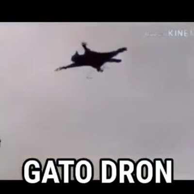 Gato Dron
