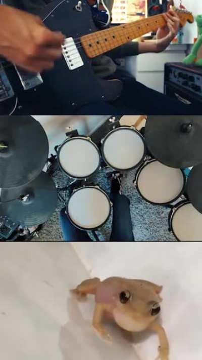 Metal with FROOOGS !!! (yt channel : Castle's Egret)