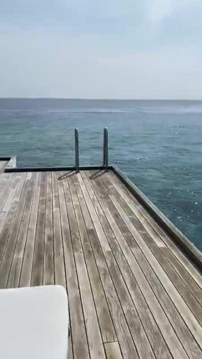 Corner office at Westin maldives