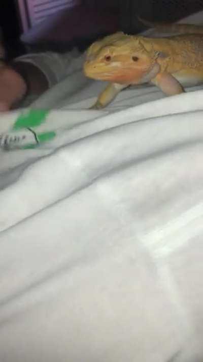 This is Charla’s way of letting me know she wants a salad…