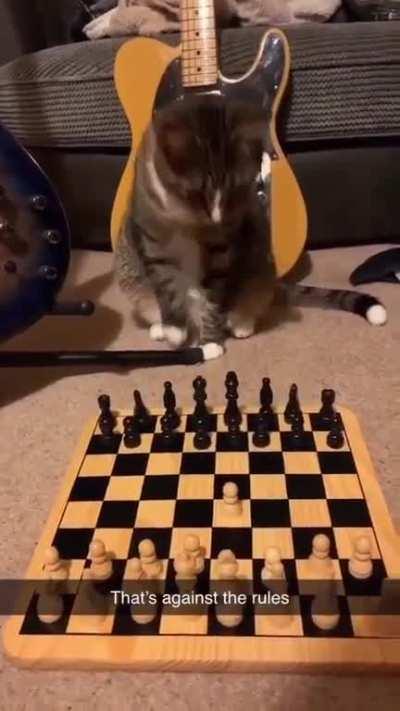 That's an illegal move