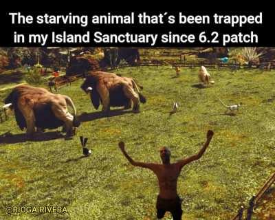 That poor animal on my island sactuary