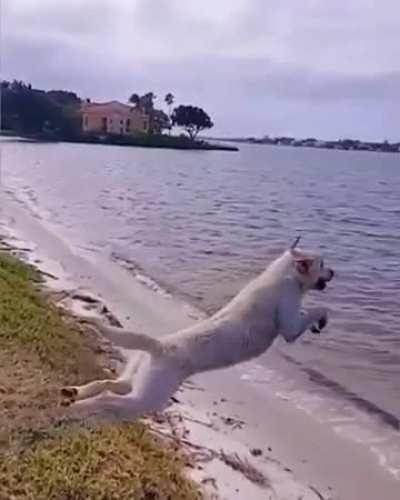 when he came to the sea for the first time in a year