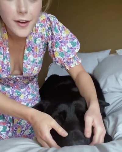 Kiki and her Puppies V2.0