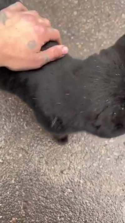 where Ukrainians want to save all life the Russians only want to destroy everything they can, even their own people.