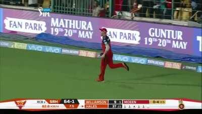 Some of the best catches in Ipl History, which is your favorite one?