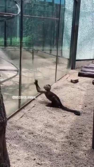 El Uriel escapando del anexo