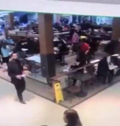 Society explained in 29 seconds