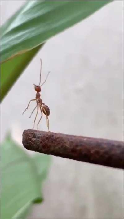 I’ll catch y’all on the way back, then!