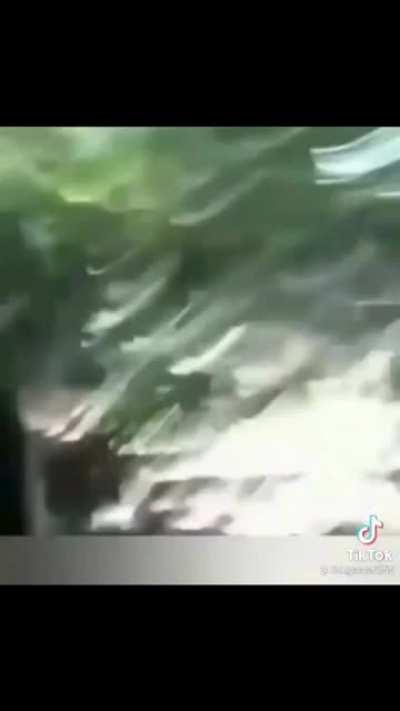 Memes que encontro na deep web