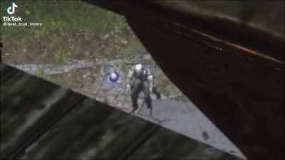 Oryx pov after being one phases