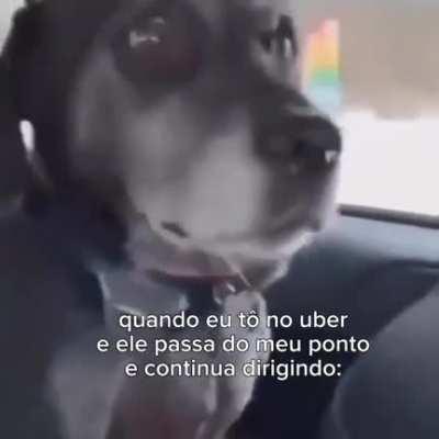 DoglaREDDIT - Video #9684