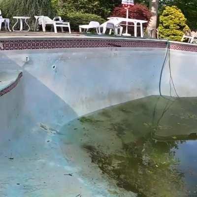 Frisbee trickshot in empty pool