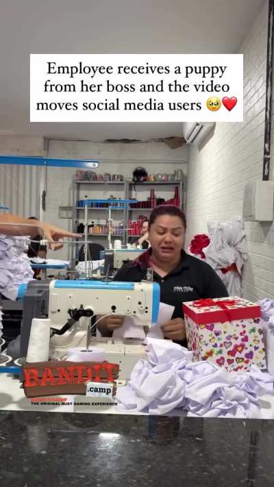 Employee that was mourning her dog gets a puppy as a gift from her boss ❤