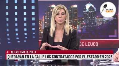 Nuevo DNU de Milei: 