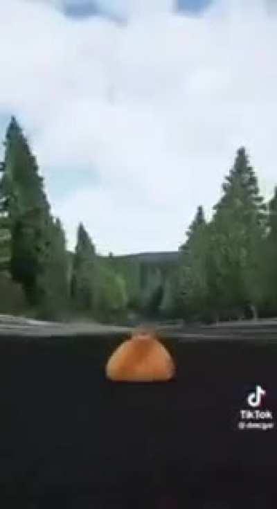 Jambo running away after eating 1326 fridge magnets