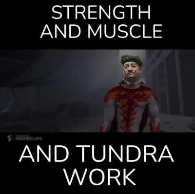 Fortis Fortuna Adiuvat