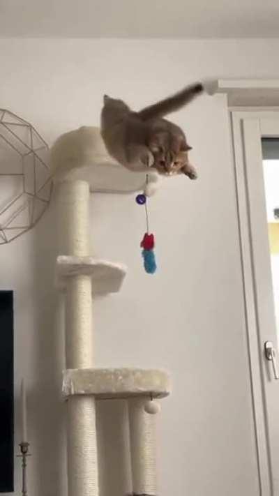 Perfect Superman Jump Doesn't Exist 😂🤣