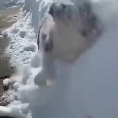 Mr Stubbs likes the snow.....;)