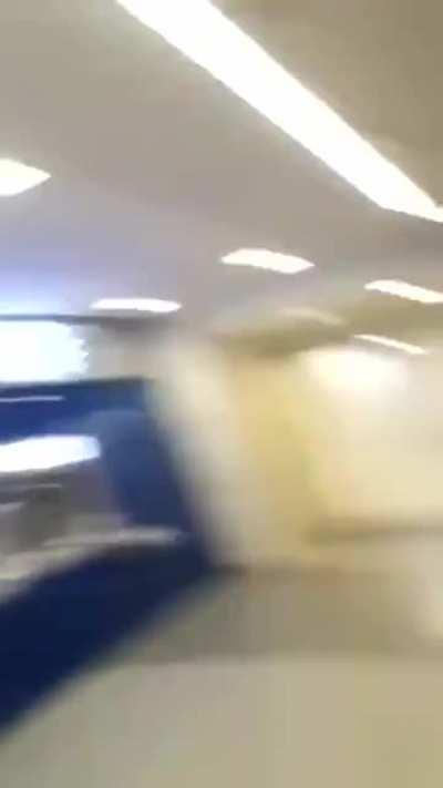 Cat catches a bat mid air