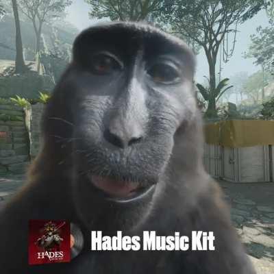 POV: Your reaction to different music kits