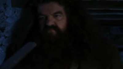 Harry Potter and the sudden ending.