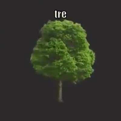 Upvote this tre or else