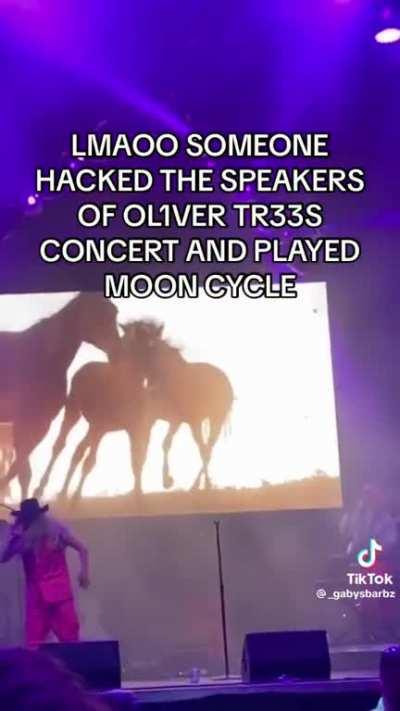 Funny asf 😂😂😂😂