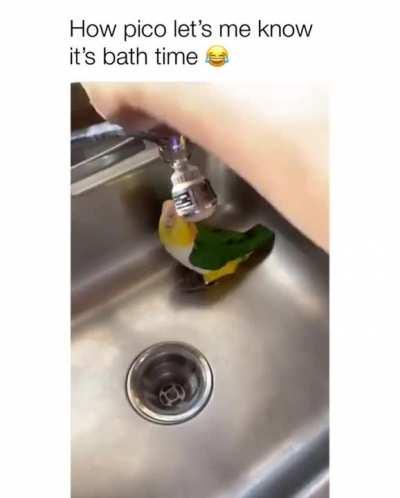 Время купаться)