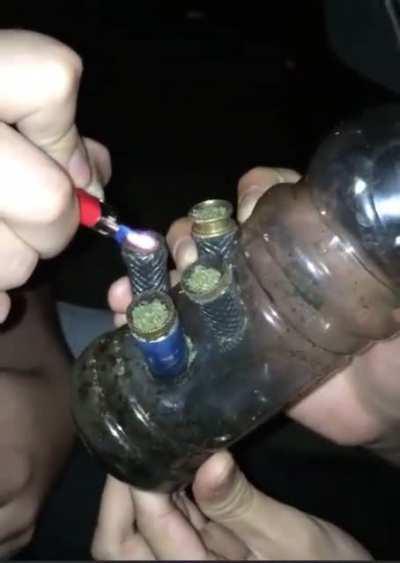 Lord Bongius of the BonClan! Great Protector of the FourTwanti Ranch!