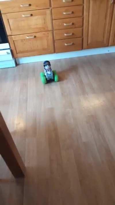 Jotaro plush in da car