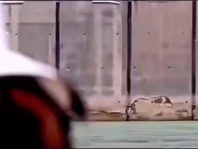 Imagine vikings coming to get you like this