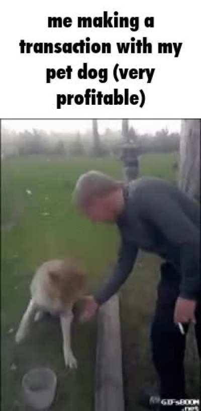 My first pet dog got hit by a car like they were a pair of parents in a fictional piece of media.