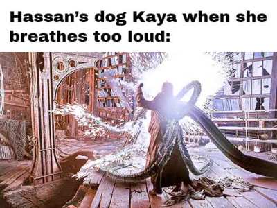 Why didn't I think of this before?