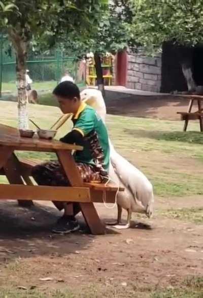 Mans can't even catch a break