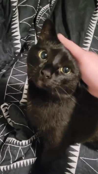 Why are you late for work