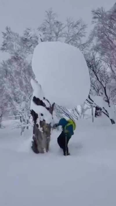 He wasn't the smartest in his class